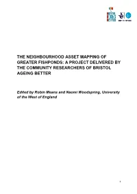 Greater Fishponds Asset Map Report