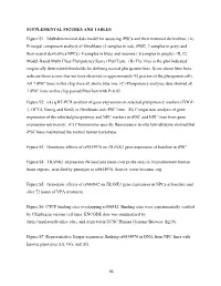 SUPPLEMENTAL FIGURES and TABLES Figure S1