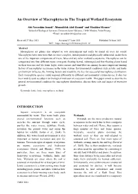 An Overview of Macrophytes in the Tropical Wetland Ecosystem