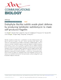 Bacillus Subtilis Evade Plant Defense by Producing Lantibiotic Subtilomycin to Mask Self-Produced ﬂagellin