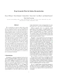 Deep Geometric Prior for Surface Reconstruction