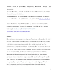 Infectious Causes of Microcephaly: Epidemiology, Pathogenesis, Diagnosis, And