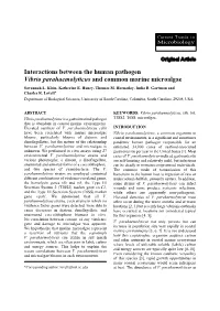 Interactions Between the Human Pathogen Vibrio Parahaemolyticus and Common Marine Microalgae
