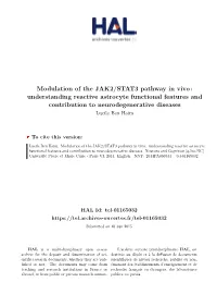 Modulation of the JAK2/STAT3 Pathway in Vivo: Understanding Reactive Astrocyte Functional Features and Contribution to Neurodegenerative Diseases