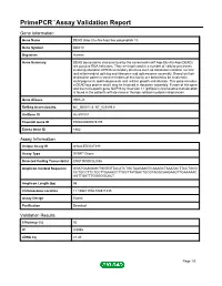 Primepcr™Assay Validation Report