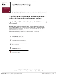 CD20-Negative Diffuse Large B-Cell Lymphomas: Biology and Emerging Therapeutic Options