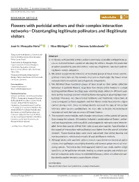 Flowers with Poricidal Anthers and Their Complex Interaction Networks&