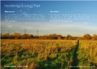 Hackbridge Ecology Park