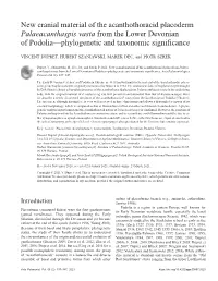 New Cranial Material of the Acanthothoracid Placoderm Palaeacanthaspis Vasta from the Lower Devonian of Podolia—Phylogenetic and Taxonomic Significance