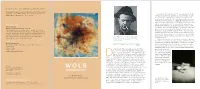 Retrospective Is Curated by Toby Kamps with Dr