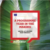 A Programme Year in the Making