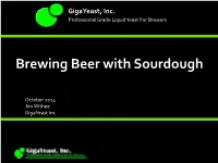 Brewing Beer with Sourdough