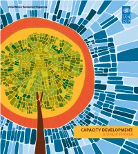 Capacity Development: a Undp Primer I