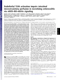 Endothelial TLR4 Activation Impairs Intestinal Microcirculatory Perfusion in Necrotizing Enterocolitis Via Enos–NO–Nitrite Signaling