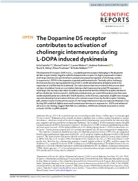 The Dopamine D5 Receptor Contributes to Activation Of