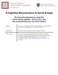A Cognitive Neuroscience of Social Groups