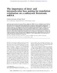And Intramolecular Base Pairing for Translation Reinitiation on a Eukaryotic Bicistronic Mrna