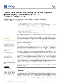 Genetic Mutations and Non-Coding RNA-Based Epigenetic Alterations Mediating the Warburg Effect in Colorectal Carcinogenesis