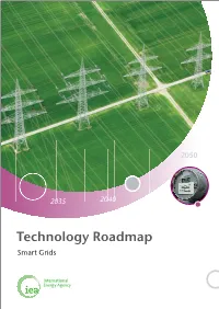 Technology Roadmaps Smart Grids List of Figures 1