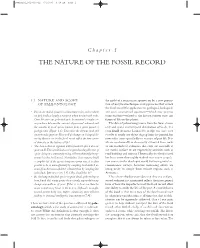 The Nature of the Fossil Record