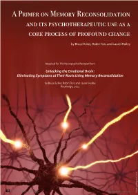 A Primer on Memory Reconsolidation and Its Psychotherapeutic Use As a Core Process of Profound Change