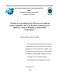 Carvalho Db Dr Arafcf.Pdf (5.863Mb)