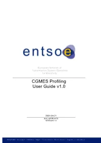 CGMES Profiling User Guide V1.0