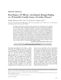 Firstdegree AV Blockan Entirely Benign Finding Or a Potentially