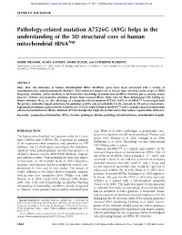 Pathology-Related Mutation A7526G (A9G) Helps in the Understanding of the 3D Structural Core of Human Mitochondrial Trnaasp