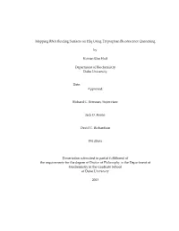 Duke University Dissertation Template