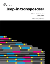 Leap-In Transposase(R)