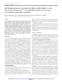 P53 Phosphorylation and Association with Murine Double Minute 2, C-Jun