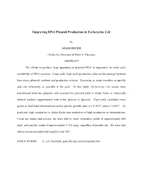 Improving DNA Plasmid Production in Escherichia Coli