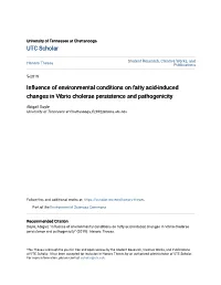 Influence of Environmental Conditions on Fatty Acid-Induced Changes in Vibrio Cholerae Persistence and Pathogenicity