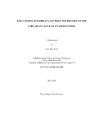 Kaic Cii Ring Flexibility Governs the Rhythm of The