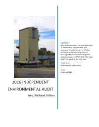 2016 INDEPENDENT ENVIRONMENTAL AUDIT West Wallsend Colliery Executive Summary