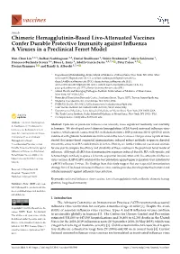 Chimeric Hemagglutinin-Based Live-Attenuated Vaccines Confer Durable Protective Immunity Against Inﬂuenza a Viruses in a Preclinical Ferret Model