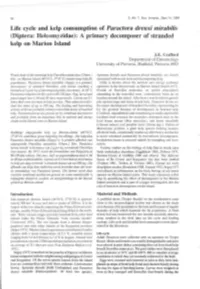 Life Cycle and Kelp Consumption of Paractora Dreuxi Mirabilis (Diptera: Helcomyzidae): a Primary Decomposer of Stranded Kelp on Marion Island