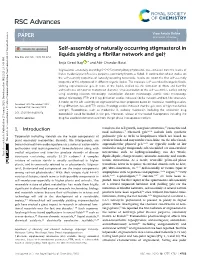Self-Assembly of Naturally Occurring Stigmasterol in Liquids Yielding A