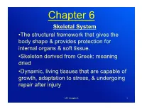 Chapter 6 Skeletal System • the Structural Framework That Gives the Body Shape & Provides Protection for Internal Organs & Soft Tissue