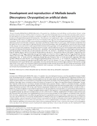 Development and Reproduction of Mallada Basalis (Neuroptera: Chrysopidae) on Artificial Diets