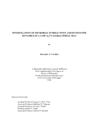 Investigation of Microbial Interactions and Ecosystem