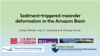 Sediment-Triggered Meander Deformation in the Amazon Basin