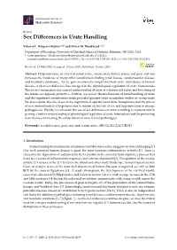 Sex Differences in Urate Handling
