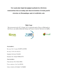 New Molecular High Throughput Methods for Ehrlichia Ruminantium Tick Screening and Characterization of Strain Genetic Structure in Mozambique and at Worldwide Scale