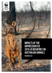 IMPACTS of the UNPRECEDENTED 2019-20 BUSHFIRES on AUSTRALIAN ANIMALS NOVEMBER 2020 Acknowledgements