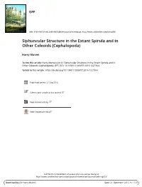 Siphuncular Structure in the Extant Spirula and in Other Coleoids (Cephalopoda)