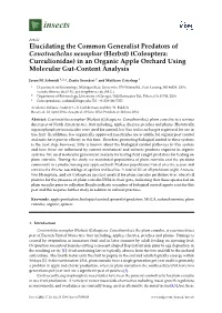 Coleoptera: Curculionidae) in an Organic Apple Orchard Using Molecular Gut-Content Analysis