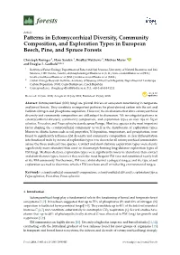 Patterns in Ectomycorrhizal Diversity, Community Composition, and Exploration Types in European Beech, Pine, and Spruce Forests