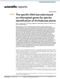 The Specific DNA Barcodes Based on Chloroplast Genes for Species